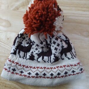 Vintage Roasty Toasty Reindeer Knit Wool Pom Beanie Winter Hat